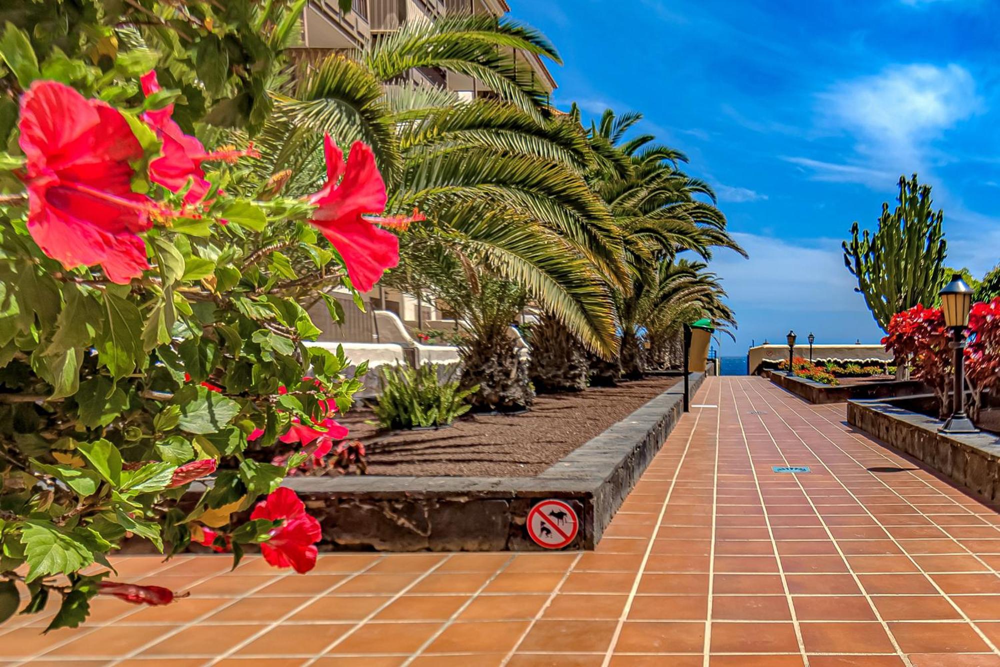 Apartament Atlantis 1 One Bedroom Apartment With Ocean View And Pool *